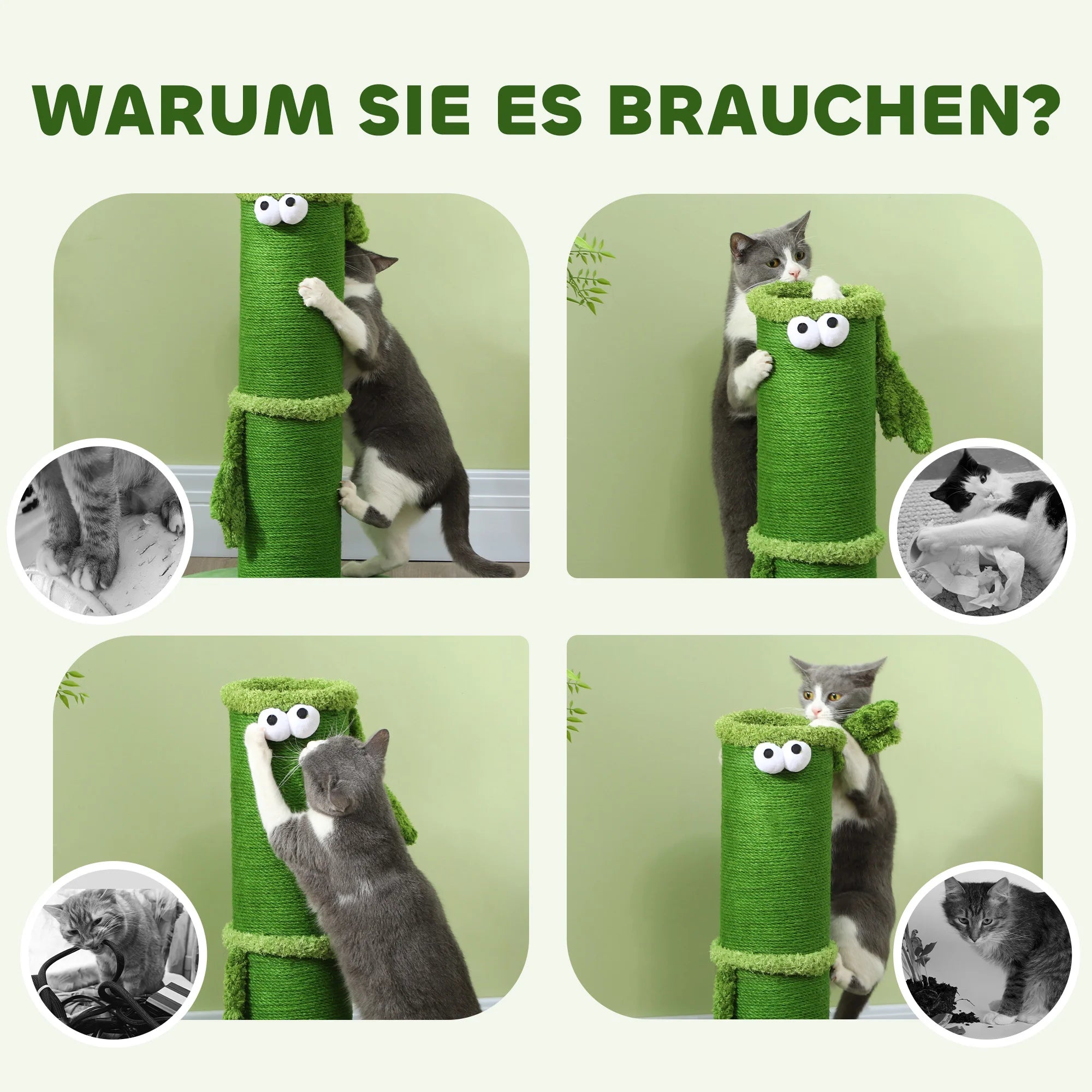 GRIFFOIR VERT BAMBOU
