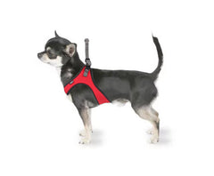 Harnais Spidy pour Chiens de Moyenne et Petite Taille Rouge