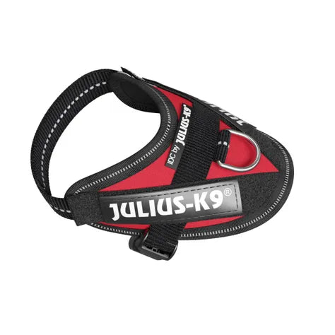 Julius-K9 IDC®Power BABY Red harness for dogs from 1 to 5 kg (2X-S)