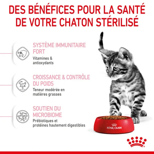 Royal Canin Aliment Sec pour Chat Kitten Sterilised 2 Kg