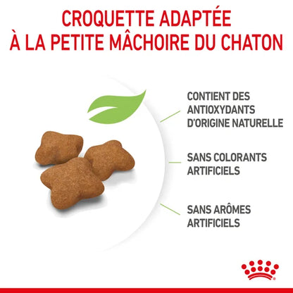 Royal Canin Aliment Sec pour Chat Kitten Sterilised 2 Kg