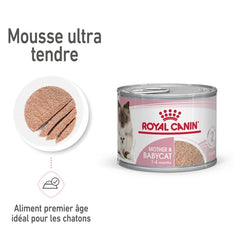 Royal Canin Aliment Humide Chat Mother & Babycat Mousse pour chatte et chaton 195 G