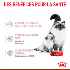 Royal Canin Aliment Humide Chat Mother & Babycat Mousse pour chatte et chaton 195 G