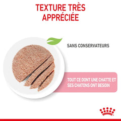 Royal Canin Aliment Humide Chat Mother & Babycat Mousse pour chatte et chaton 195 G