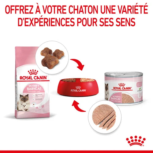 Royal Canin Mother &amp; Babycat Mousse pour chatte et chaton 195 G