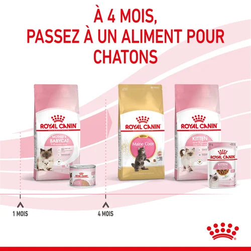 Royal Canin Mother &amp;amp; Babycat Mousse for Cat and Kitten 195 G 