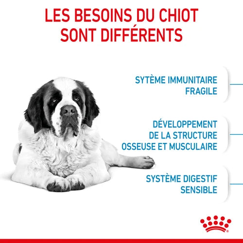 Royal Canin Giant Junior pour chiot 15 Kg PROMO