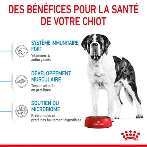 Royal Canin Giant Junior pour chiot 15 Kg PROMO