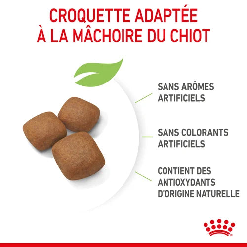 Royal Canin Giant Junior pour chiot 15 Kg PROMO