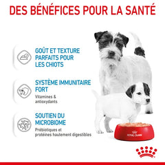 Royal Canin Aliment Humide Chien Starter Mother & Babydog Mousse pour chiot 195 G