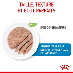 Royal Canin Aliment Humide Chien Starter Mother & Babydog Mousse pour chiot 195 G