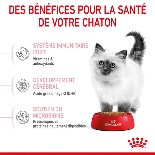 Royal Canin Kitten 10 Kg PROMO