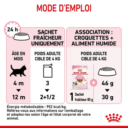 Royal Canin Kitten Sauce - Kitten freshness sachet 85 G 