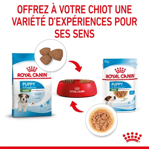 Royal Canin Mini Puppy Sauce - Puppy freshness sachet 85 G 