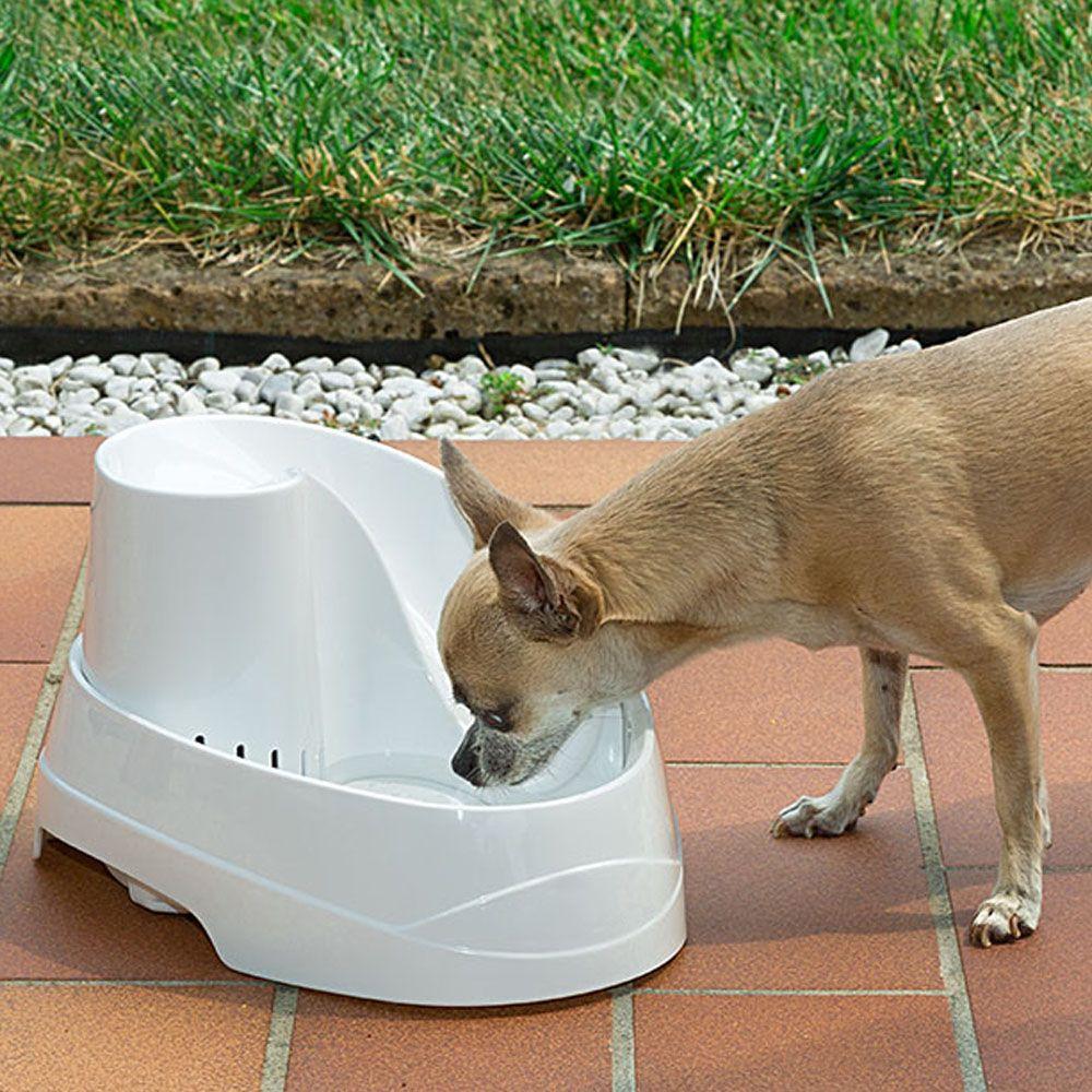 VEGA ASSAINISSÉ Fontaine pour chat et petit chien 2L