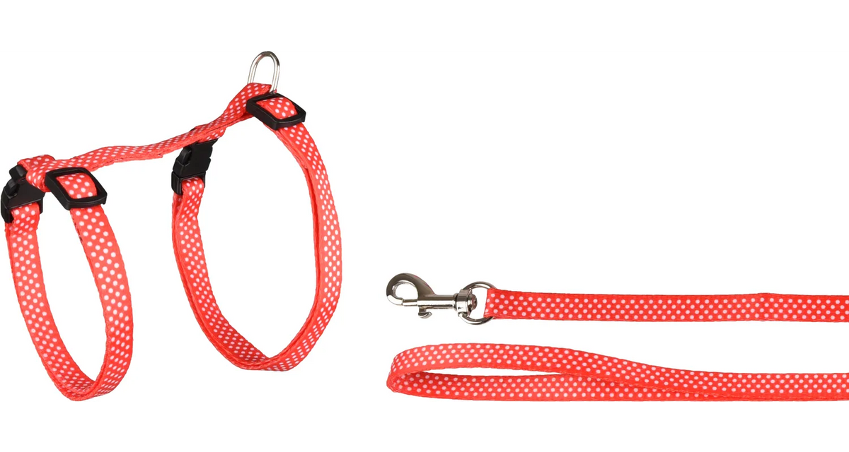 AIWA HARNESS WITH LEASH SEVERAL COLORS