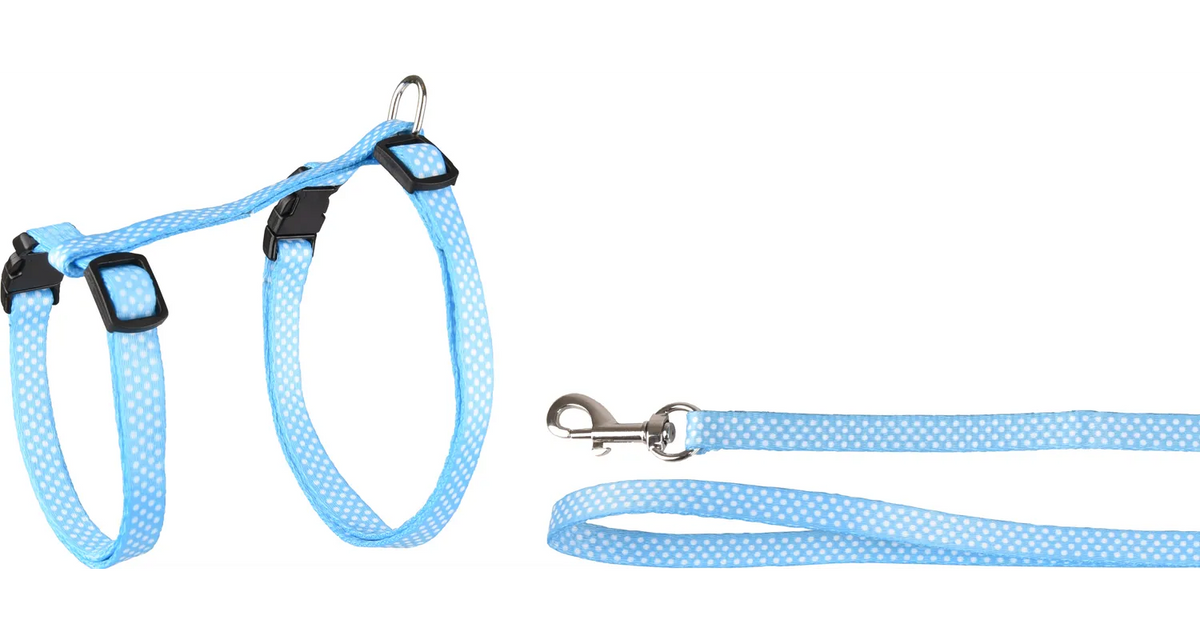 AIWA HARNESS WITH LEASH SEVERAL COLORS