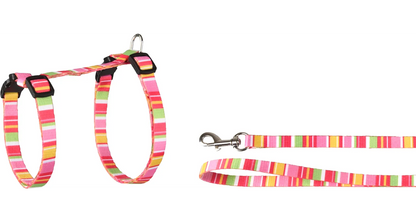 HARNESS WITH LEASH AMIRA SEVERAL COLORS