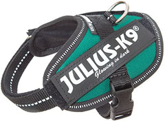 Harnais Julius-K9 IDC®Power BABY Vert pour chiens de 1 à 5 kg (2X-S)