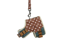 Harness with matching leash