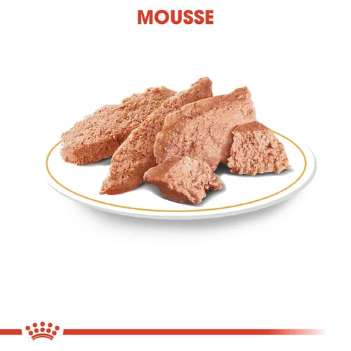 Royal Canin Yorkshire Terrier mousse 85G