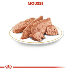 Royal Canin Aliment Humide Chien Yorkshire Terrier mousse 85G