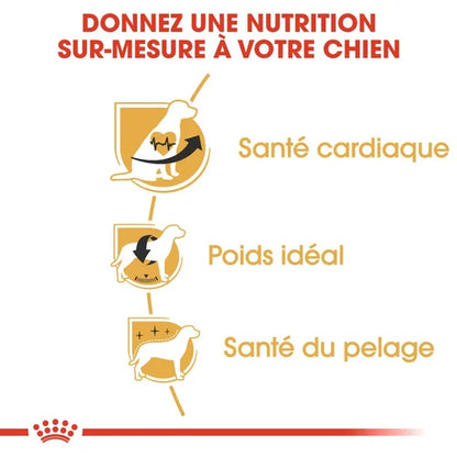Royal Canin Aliment Sec Chien Cavalier King Charles Adulte 1,5 Kg