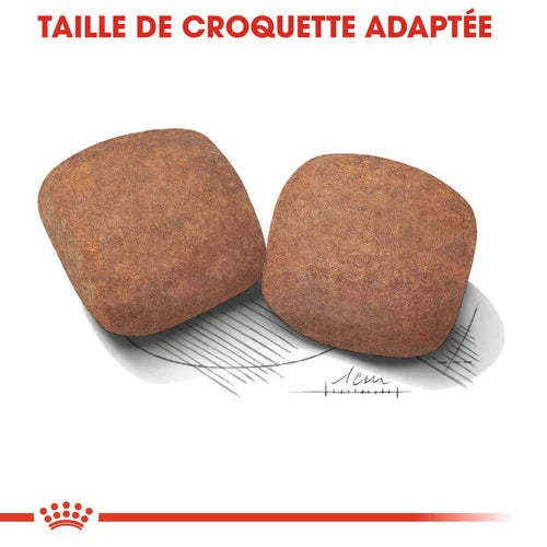 Royal Canin Giant Adult 15 Kg 