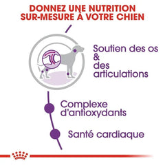 Royal Canin Aliment Sec Chien Giant Adult 15 Kg
