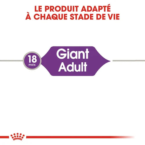 Royal Canin Giant Adult 15 Kg 