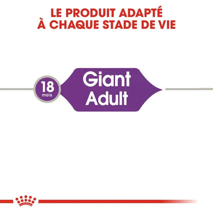 Royal Canin Giant Adult 15 Kg 