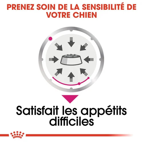 Royal Canin Exigent foam 85 G 