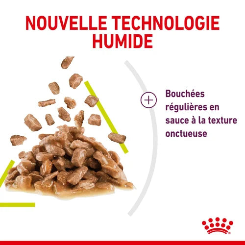 Royal Canin SENSORY™ SMELL in sauce 85 G