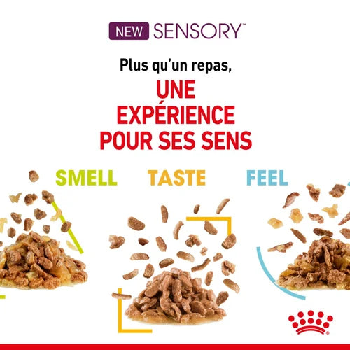 Royal Canin SENSORY™ SMELL in sauce 85 G