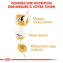 Royal Canin French Bulldog Adult 3 Kg 
