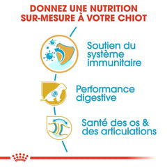 Royal Canin Aliment Sec Chien Chiot Berger Allemand 12 Kg