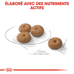Royal Canin Aliment Sec Chien Mini Sterilised