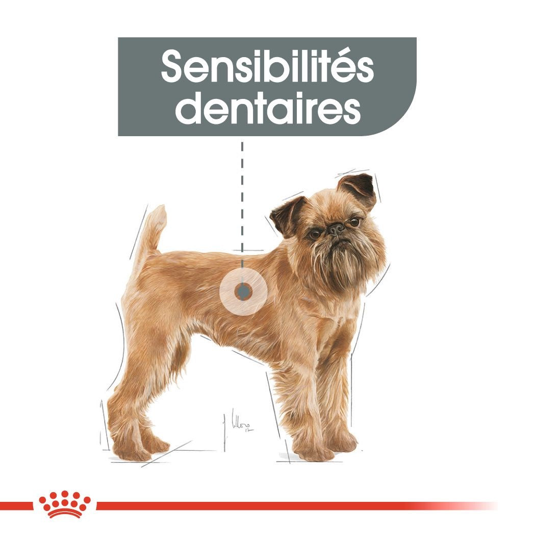 Royal Canin Mini Dental Care 3 Kg 