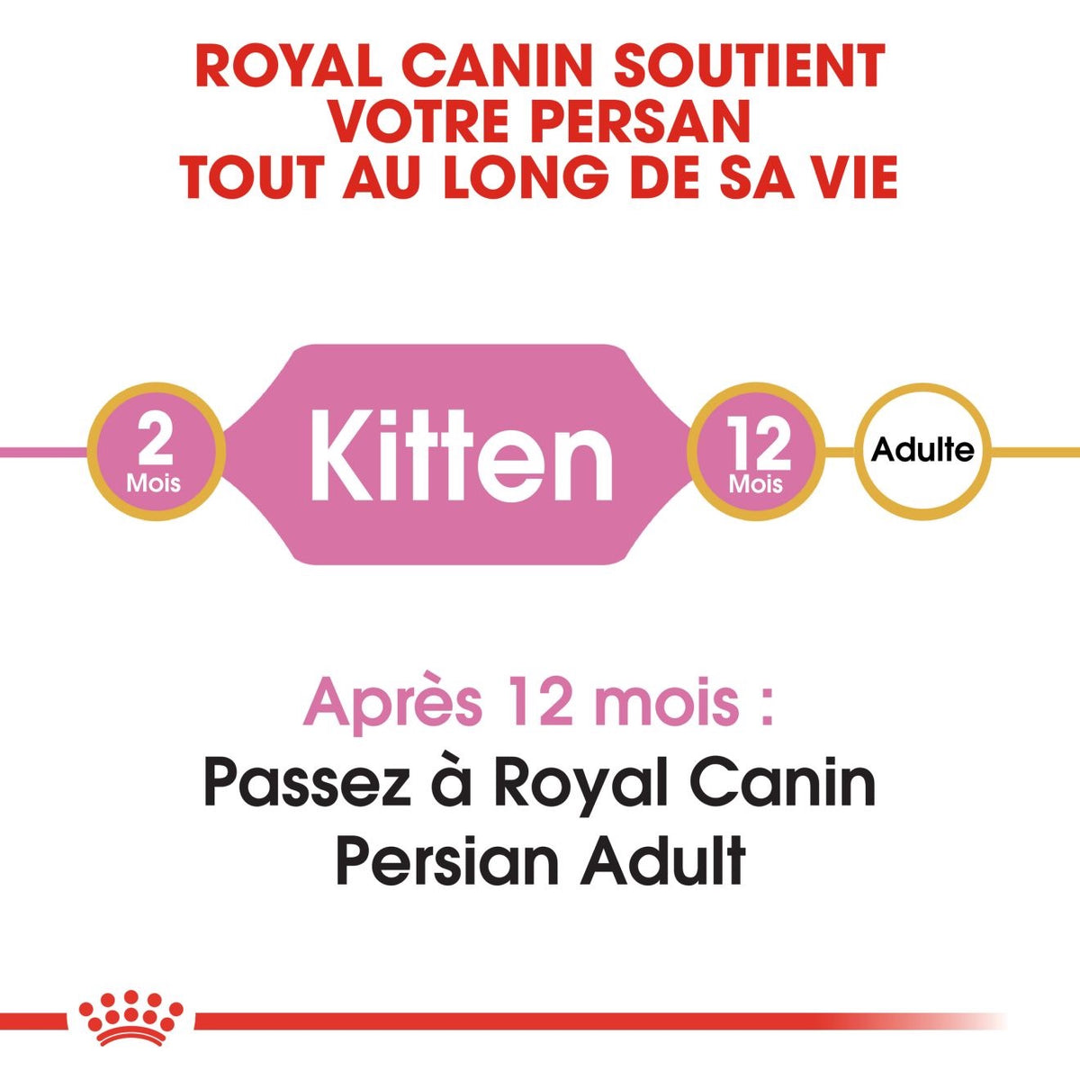 Royal Canin Persian Kitten 