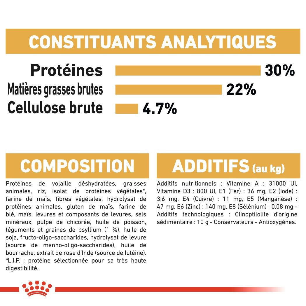 Royal Canin Persan Adulte