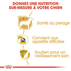Royal Canin Aliment Sec Chien Yorkshire Terrier Adulte 1,5 Kg PROMO