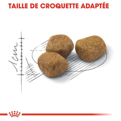 Royal Canin Aliment Sec pour Chat Fit 32