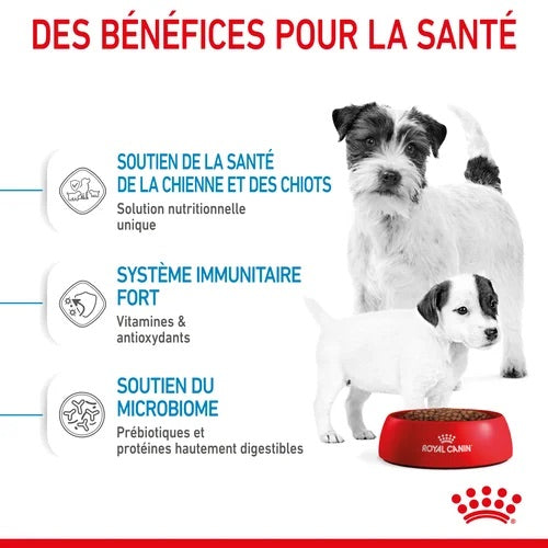 Royal Canin Mini Starter Mother &amp; Babydog