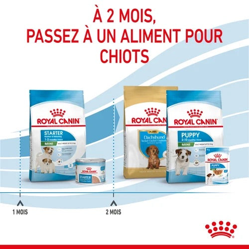 Royal Canin Mini Starter Mother &amp; Babydog