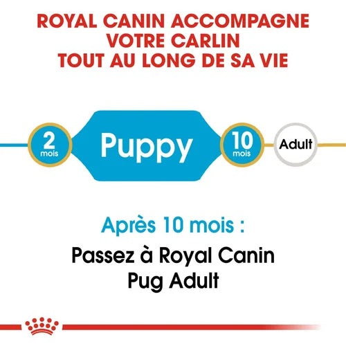 Royal Canin Chiot Carlin 1,5 Kg