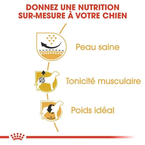 Royal Canin Pug Adult 1.5 Kg 