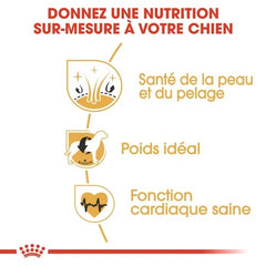 Royal Canin Aliment Sec Chien Cocker Adult 3 Kg