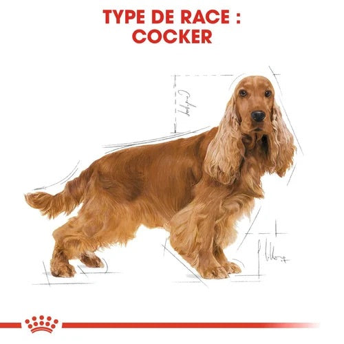 Royal Canin Cocker Adult 3 Kg