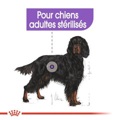 Royal Canin Maxi Sterilized 12 Kg 