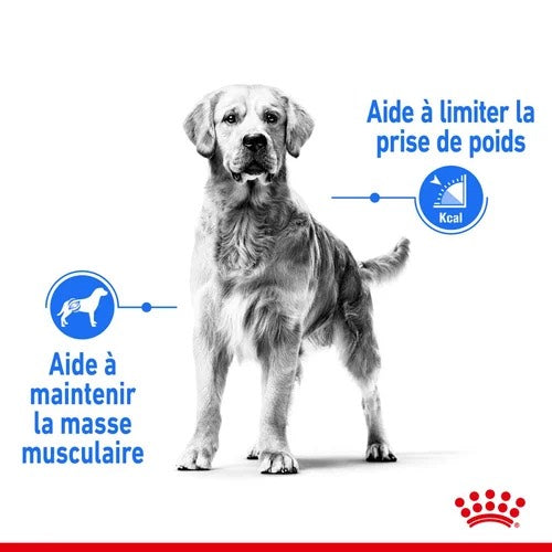 Royal Canin Maxi Light Weight Care